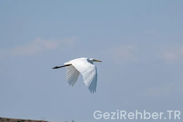 Samsun gezi turları