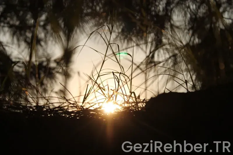 Sardunya Adası gezi rehberi