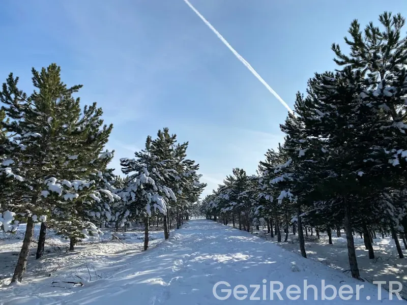 Scooterla uzun yol hikayeleri