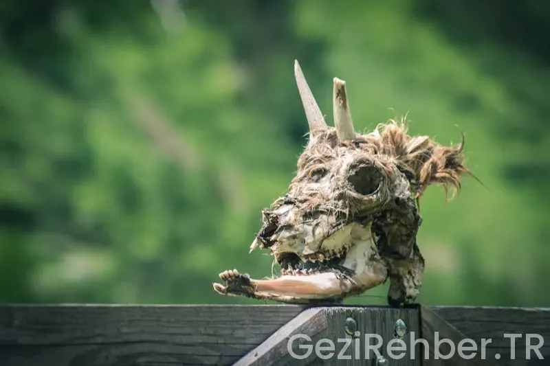 Sisam adasında nerede kalınır