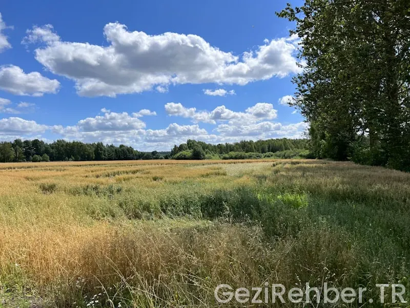 Sisam adasında nerede kalınır