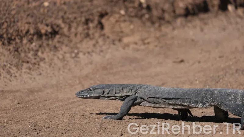 Soğuk ve yağışlı kasım sabahı yola çıktık hikayenin devamını
