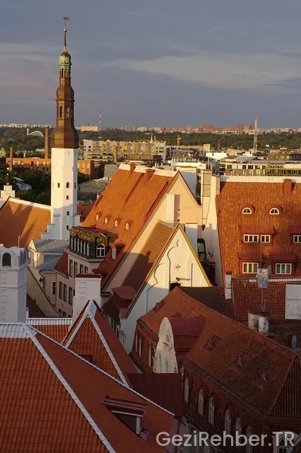 Tallinn ne yenir