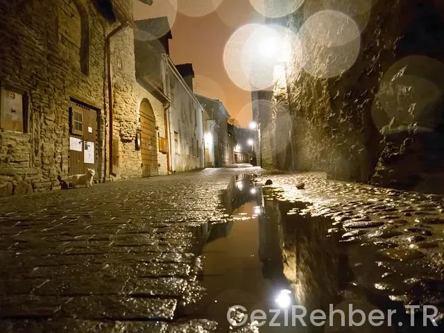 Tallinn ne yenir Tallinn ne yenir