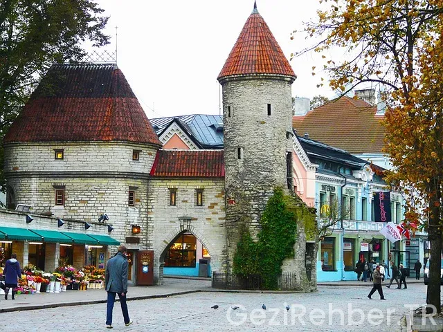 Tallinn ne yenir Tallinn ne yenir