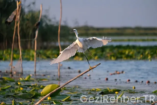 Tayland gezi turları fiyatları