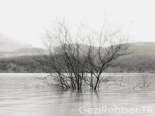 Tayland ve türkiye arasındaki saat farkı