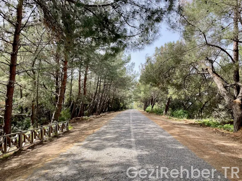 Umut eral yol hikayeleri