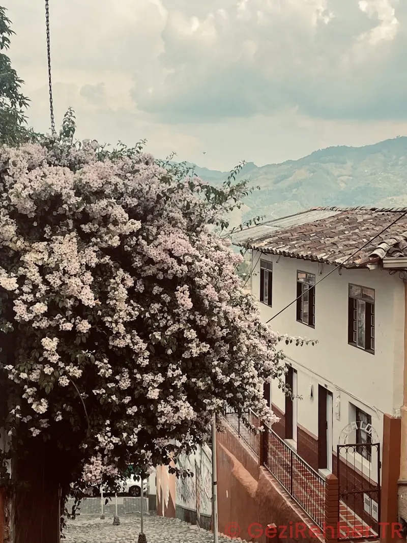 Floransa Gezi Rehberi Floransa Gezi Rehberi