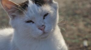 Giresun Gezi Fırsatları