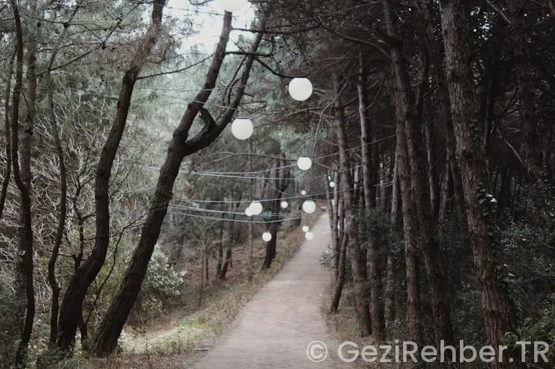 İstanbul Gezi Rehberi