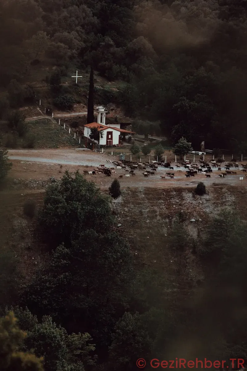 Karadağ Gezi Rehberi Karadağ Gezi Rehberi