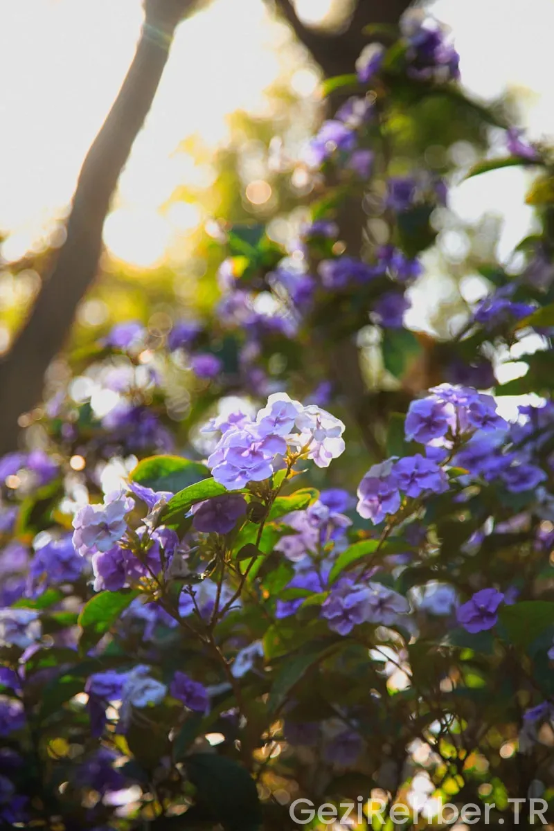 Uzun ince bir yoldayım hikayesinin özeti