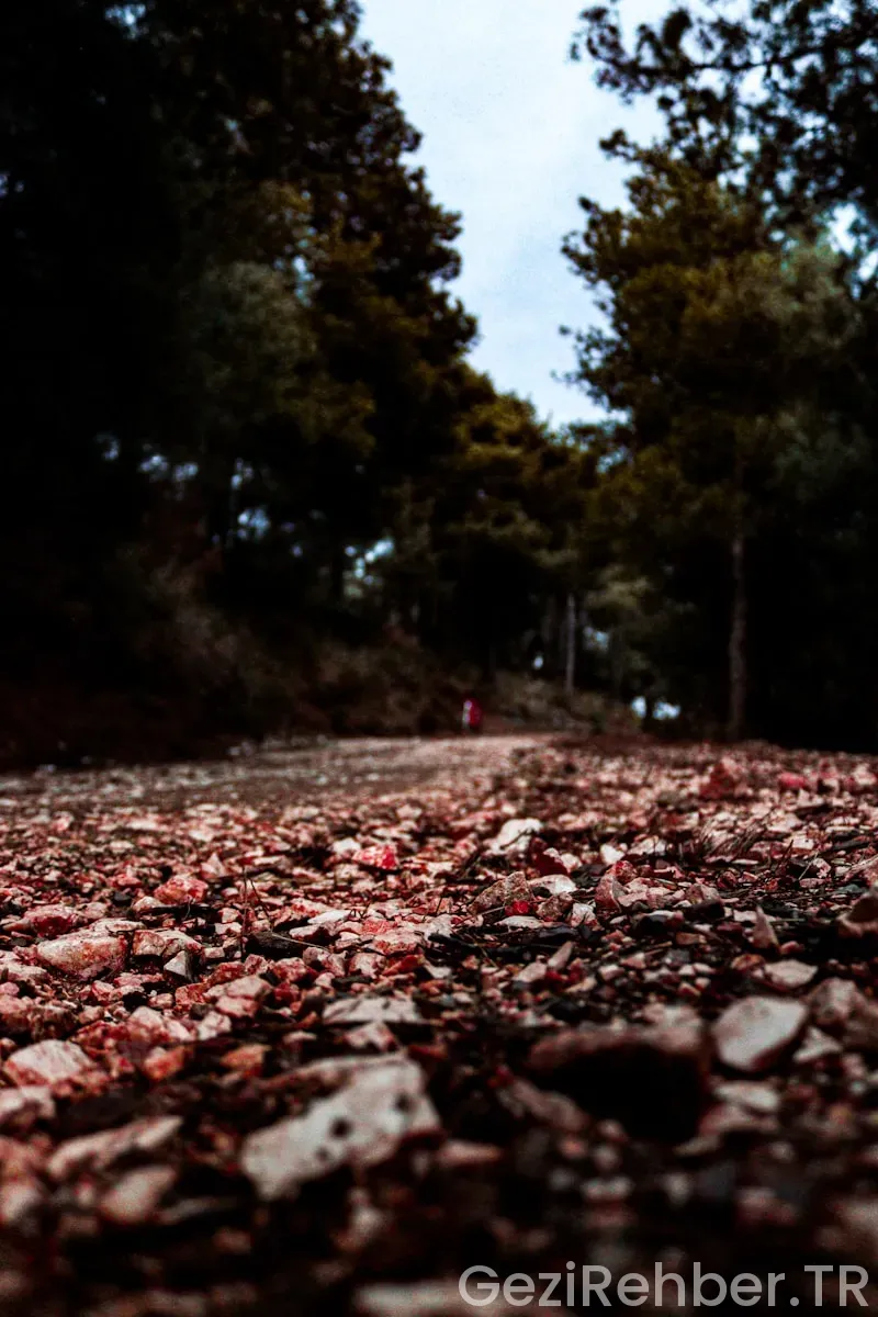 Uzun yol şoförü hikayeler