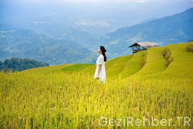 Vietnam gezi turları