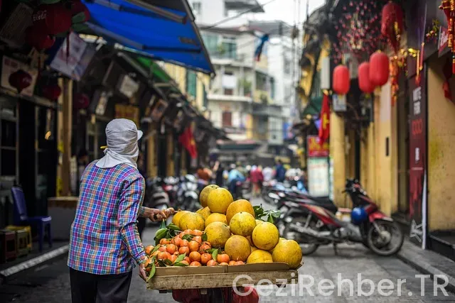 Vietnam gezi turları