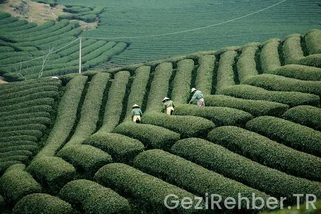 Vietnam gezi turları