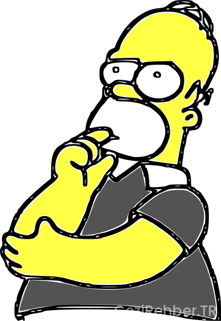 Viyana gezi programı