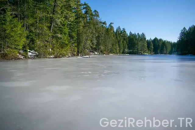 Washington gezi rehberi Washington gezi rehberi