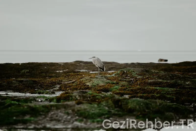 Yol ile ilgili hikayeler