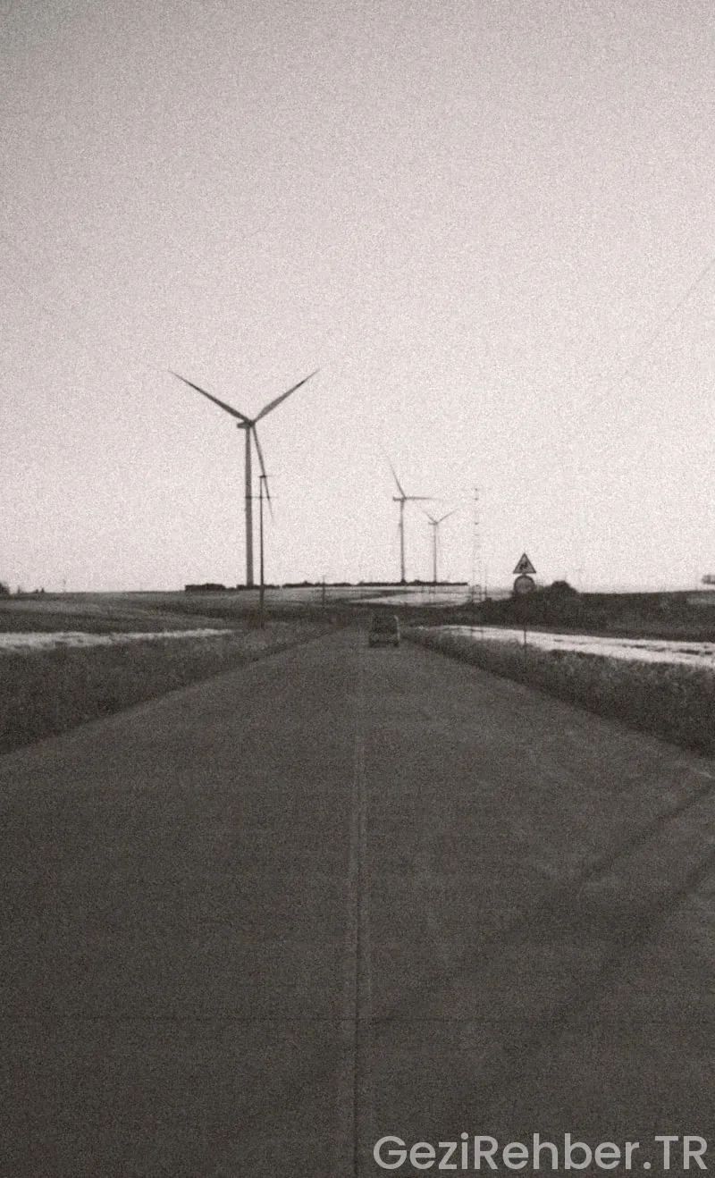 Yol verici başarı hikayeleri