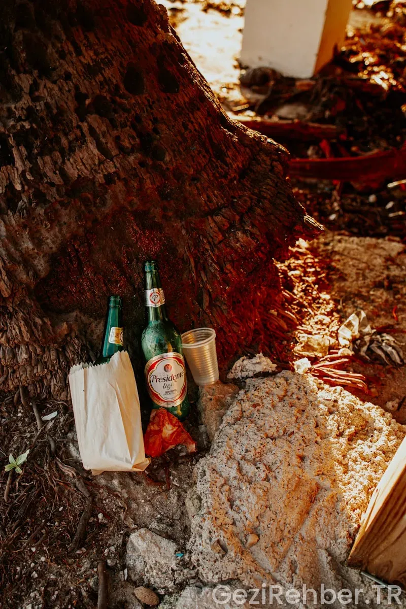 Yukarıdaki hikayeden yola çıkarak yerleşme ve seyahat