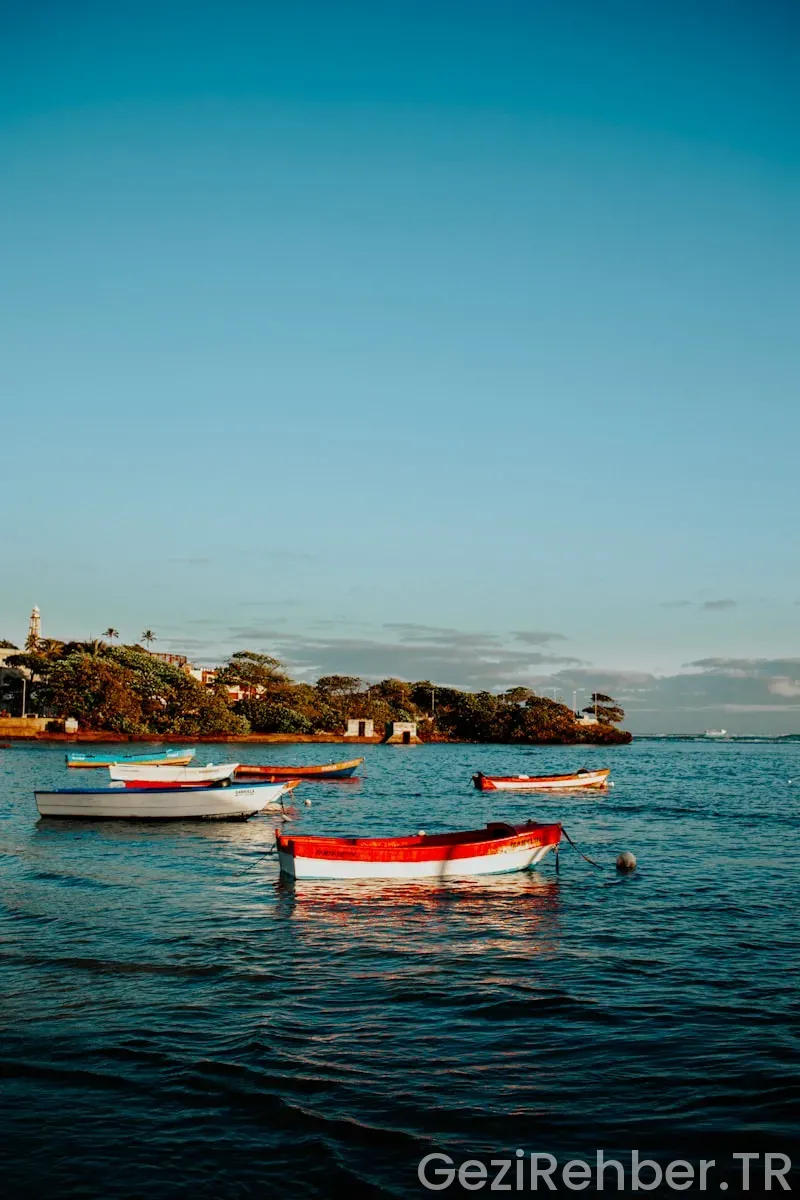 Yukarıdaki hikayeden yola çıkarak yerleşme ve seyahat
