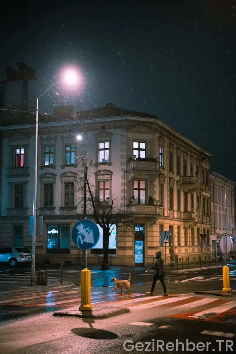 Yurt Dışı Gezi Turları