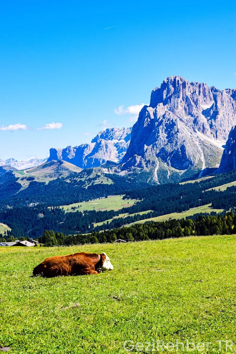 Yurtdışı gezi turları almanya