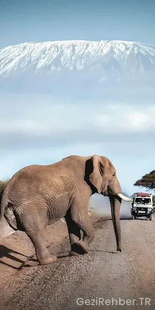 Yurtdışı gezi turları fiyatları