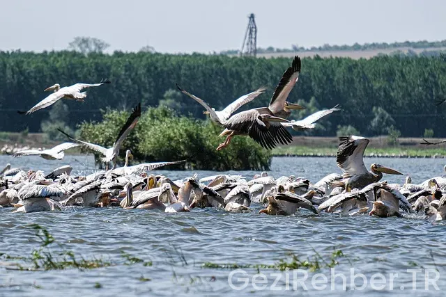 Yurtdışı gezi turları fiyatları