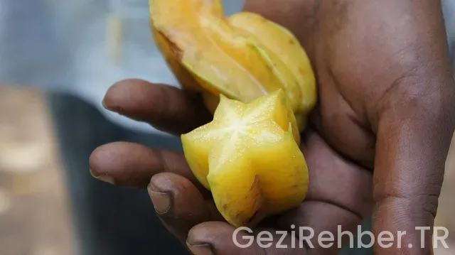 Zanzibar gezi Zanzibar gezi