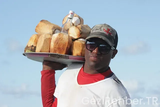 яндекс путешествия яндекс путешествия