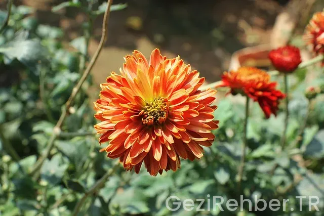 2000 km uçakla kaç saat