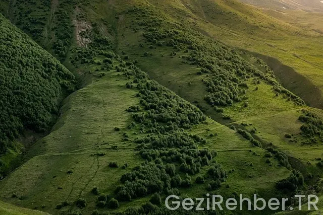 2024 GEZİ EGE 2024 GEZİ EGE