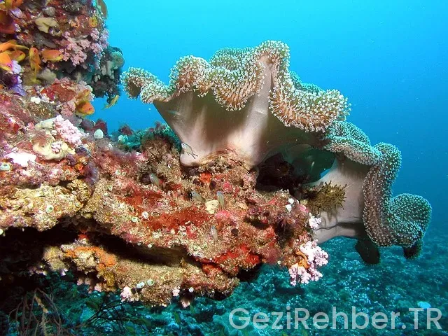 29 Ekim Gezi Önerileri