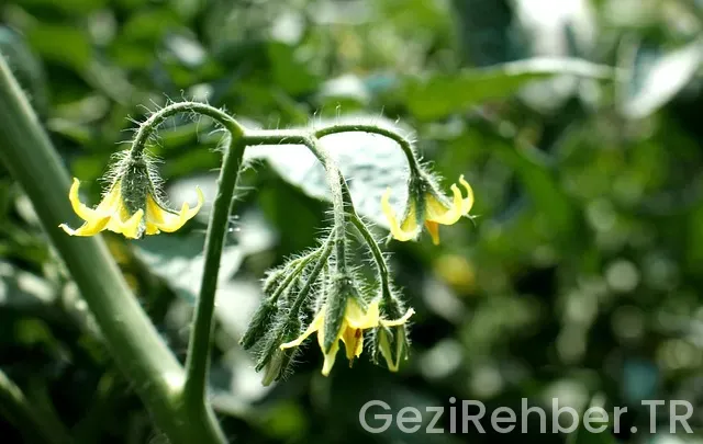 5000 km uçakla kaç saat