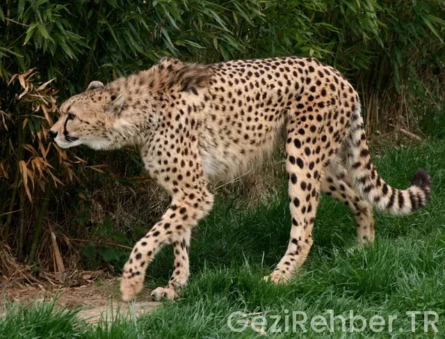 800 km uçakla kaç saat