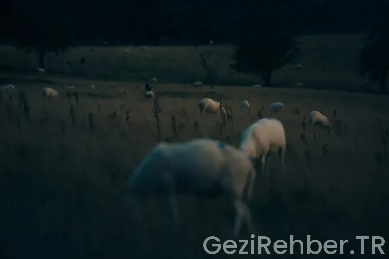 Abant’ta Gezilecek Yerler Abant’ta Gezilecek Yerler