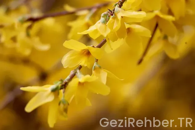 Abd uçakla kaç saat