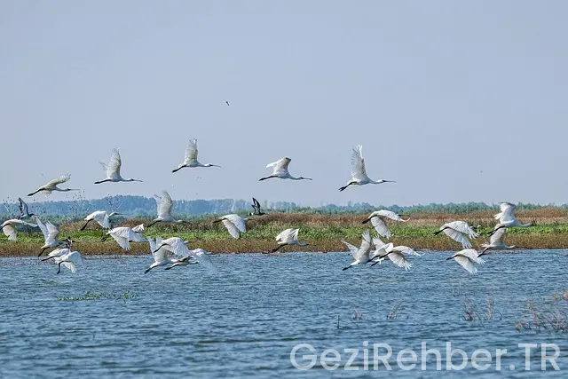 Adana gezi turları karadeniz