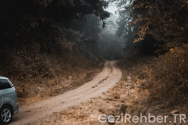 Adapazarı’nda Gezilecek Yerler