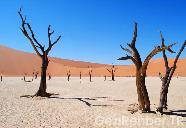 Afrika Gezi Rehberi