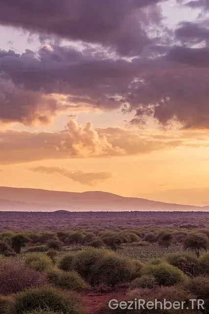 Afrika Gezi Turları