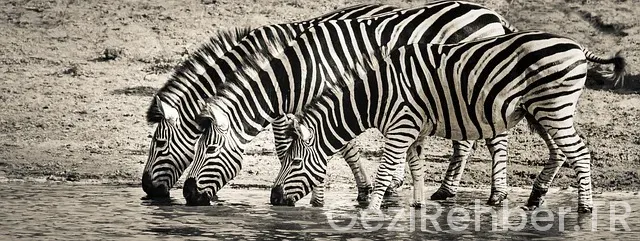 Afrika görülmesi gereken yerler