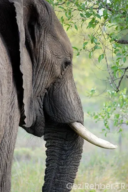 Afrika görülmesi gereken yerler