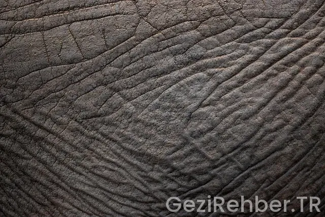 Afrika görülmesi gereken yerler