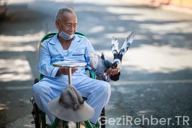 Afrika görülmesi gereken yerler