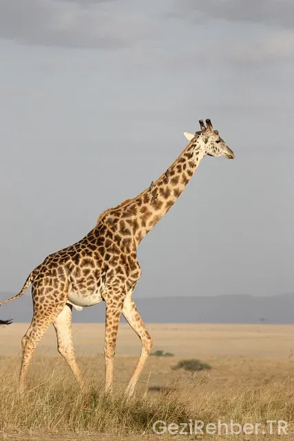 Afrika turistik yerler