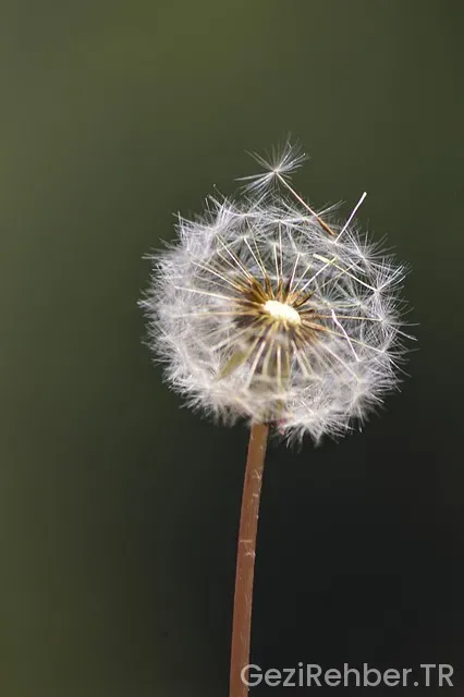 Afrika turistik yerler